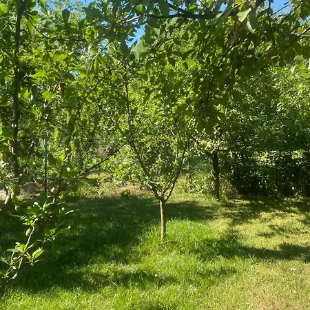 Kuca Za Odmor-tisa Hideaway Casa de Férias Turija